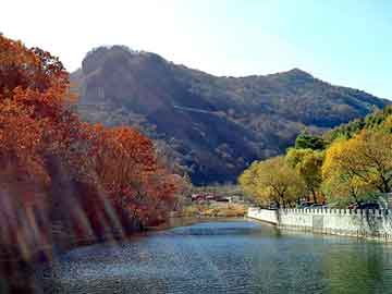 澳门期期准免费精准，无锡酒店海鲜沲